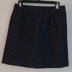 Ann Taylor LOFT Sparkly Skirt sz 2